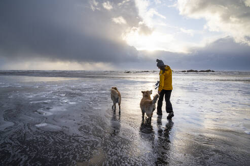 Frauen, die mit ihren Hunden an der Olympic Coast spazieren gehen - CAVF96222