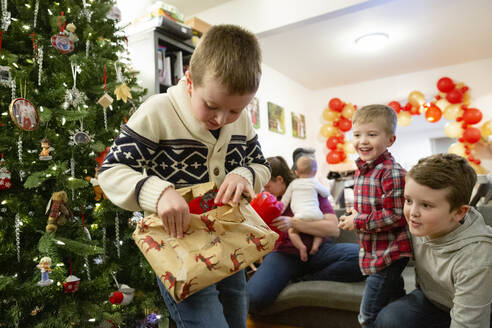 Junge öffnet Weihnachtsgeschenk vor dem Baum, während seine Brüder zusehen - CAVF96262