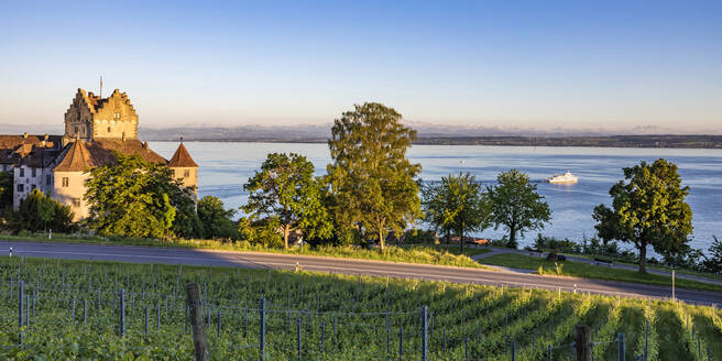 Deutschland, Baden-Württemberg, Meersburg, Panoramablick auf Weinberg vor Schloss Meersburg - WDF06918