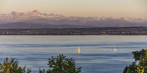 Germany, Baden-Wurttemberg, Meersburg, Panoramic view of sailboats in Lake Constance at dusk with mountains in background - WDF06919