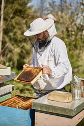 Imker mit Honigwabenrahmen neben einem Container auf einem Bauernhof - ZEDF04518