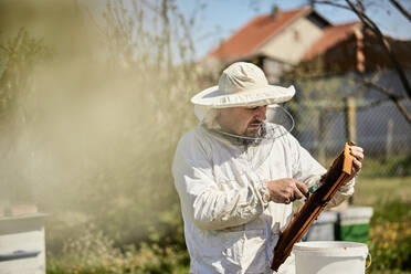 Imker beim Entfernen des Bienenwachses von den Waben auf dem Bauernhof - ZEDF04522