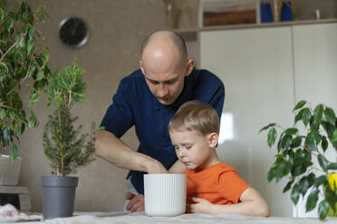 Father and son transplanting Christmas tree together at home - SEAF00843