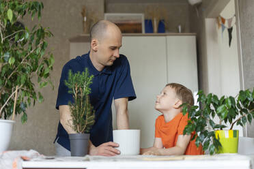 Father looking at son transplanting together in living room - SEAF00845