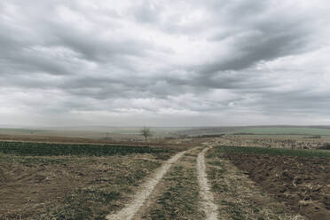 Agricultural field under cloudy sky - SIF00078