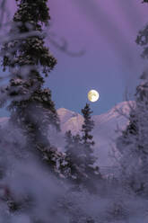 Full moon above mountains during colorful sunset in Alaska - CAVF96526