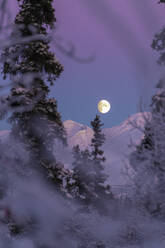 Vollmond über den Bergen während eines farbenprächtigen Sonnenuntergangs in Alaska - CAVF96526