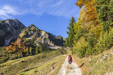 Deutschland, Bayern, Wanderin auf dem Weg zum Geigelstein - FOF13126