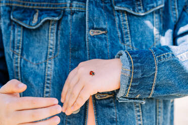 Anonymes Kind in Jeansjacke mit kleinem roten Coccinellidae-Käfer auf der Hand auf einer sonnigen Sommerstraße in der Stadt stehend - ADSF34625