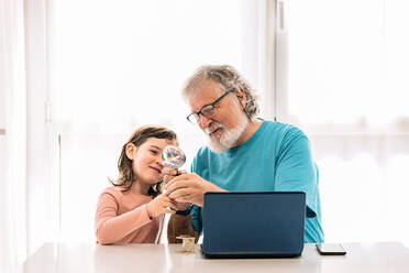 Positive grandfather with cute granddaughter looking at white chamomile through magnifying glass while sitting at table with laptop in room - ADSF34641