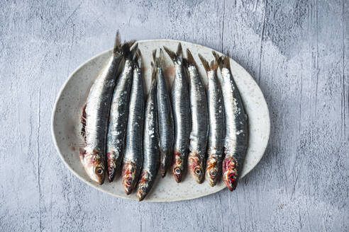 Top view of bunch of fresh sardines placed on oval plate on table - ADSF34676