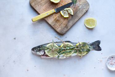 Top view of fresh raw trout with lemon slices and rosemary twigs near cutting board and placed on gray background - ADSF34678