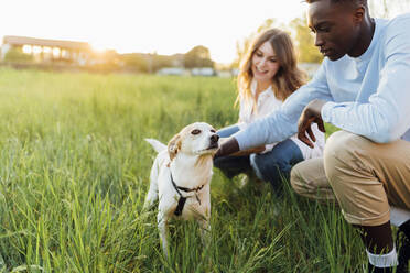 Happy young couple with dog in nature - MEUF05376