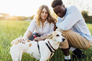 Gemischtrassiges Paar mit Hund sitzt in der Natur an einem sonnigen Tag - MEUF05377