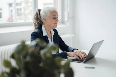 Ältere Geschäftsfrau tippt auf einem Laptop und sitzt am Schreibtisch im Büro - JOSEF08912