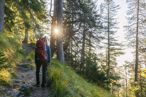 Deutschland, Bayern, Wanderin steht mitten auf dem Waldweg auf dem Weg zum Herzogstand - FOF13140