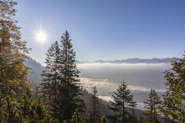 Deutschland, Bayern, Sommersonne über dichtem Nebel, der über dem Walchensee in den Bayerischen Voralpen schwebt - FOF13141