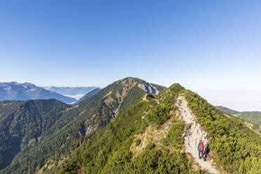 Deutschland, Bayern, Wanderin beim Aufstieg zum Gipfel des Heimgartens in den Bayerischen Voralpen - FOF13154