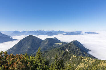 Deutschland, Bayern, Blick auf den in dichten Sommernebel gehüllten Walchensee - FOF13161