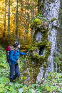 Wanderin vor einem alten, moosbewachsenen Waldbaum stehend - FOF13173