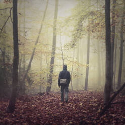 Älterer Mann wandert allein im nebelverhangenen Herbstwald - DWIF01215