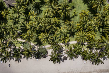 Mauritius, Black River, Flic-en-Flac, Blick aus dem Hubschrauber auf Palmen am afrikanischen Strand - AMF09502