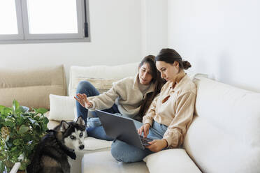 Paar diskutiert über Laptop auf dem Sofa sitzend mit sibirischem Husky im Wohnzimmer zu Hause - MRRF02091