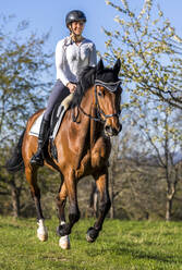 Lächelnde Frau reitet Pferd an einem sonnigen Tag - STSF03199