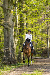 Smiling woman riding horse in forest - STSF03200