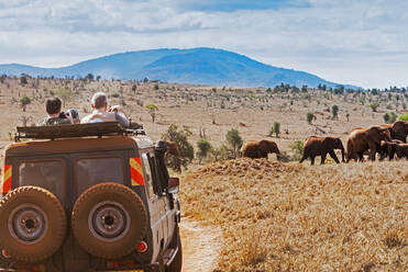 Touristen im Busch, Elefanten (Loxodonta africana), Lualenyi Ranch, Taita-Taveta County, Kenia, Ostafrika, Afrika - RHPLF21979