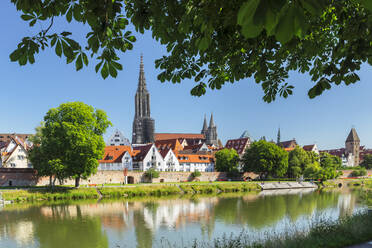 Blick über die Donau auf das Ulmer Münster und die Altstadt, Ulm, Baden-Württemberg, Deutschland, Europa - RHPLF22012