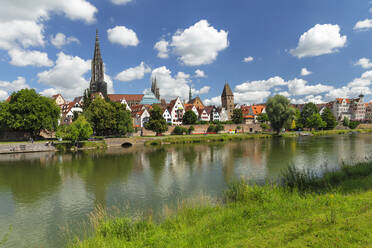 Blick über die Donau auf das Ulmer Münster und die Altstadt, Ulm, Baden-Württemberg, Deutschland, Europa - RHPLF22013