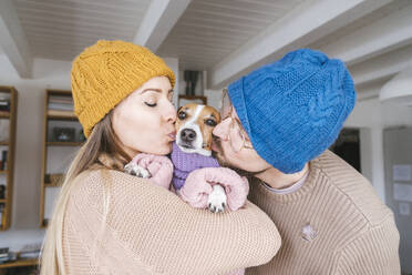 Couple wearing wooly hat at home kissng dog with scarf - KMKF01815