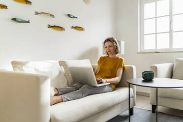Freelancer using laptop sitting on sofa in living room - DIGF17890