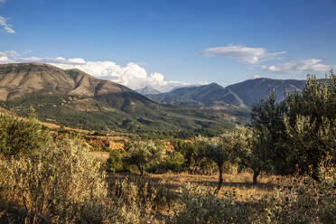 Landschaftsbild des Gebirges an einem sonnigen Tag, Albanien - MAMF02213