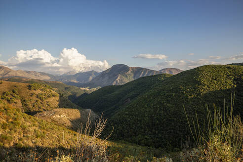 Idyllische Aussicht auf grüne Bäume am Gebirge, Albanien - MAMF02214