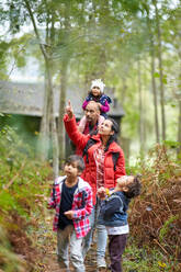 Familienwanderung im Wald - CAIF32435