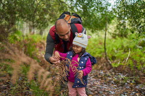 Vater und neugieriges Kleinkind wandern im Wald - CAIF32443