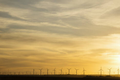 Windkraftanlagen unter gelbem Himmel bei Sonnenuntergang - MRRF02096