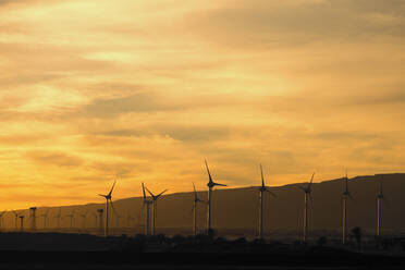 Silhouette Windkraftanlagen bei Sonnenuntergang - MRRF02097