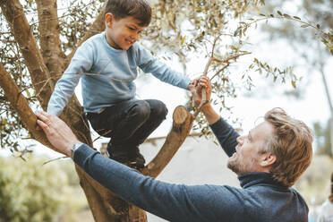 Vater hält die Hände seines auf einem Baum hockenden Sohnes - JOSEF09522