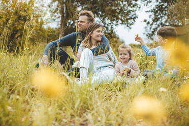 Smiling parents with daughter and son in meadow at weekend - JOSEF09547