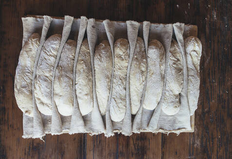 Dough arranged on napkin in bakery - JUBF00406