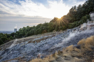 Smoke on dirt road in front of trees at Monterotondo Marittimo, Grosseto, Italy - MAMF02249