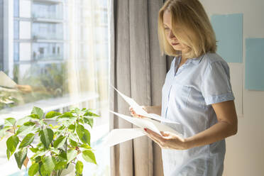 Blonder Freiberufler, der am Fenster stehend im Büro zu Hause ein Dokument liest - SVKF00167