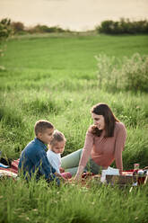 Mother talking to children in field on weekend - ZEDF04552