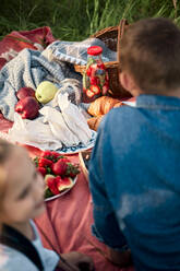 Früchte auf einer Picknickdecke im Feld - ZEDF04558