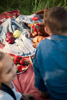 Früchte auf einer Picknickdecke im Feld - ZEDF04558