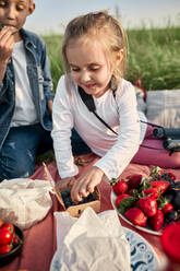 Mädchen, das beim Picknick am Wochenende Blaubeeren von seinem Bruder isst - ZEDF04560