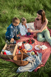 Mutter schenkt Kindern beim Picknick auf einem Feld Wasser ein - ZEDF04563